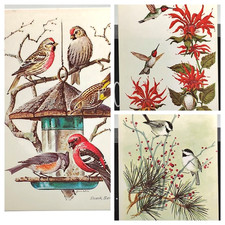 PC ~ 3 postcards artist signed Birds Vintage ~ Cape Shore Paper
