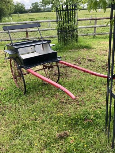 Vintage pony cart window - pony,