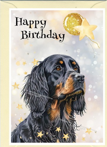 Gordon setter dog - setter, birthday