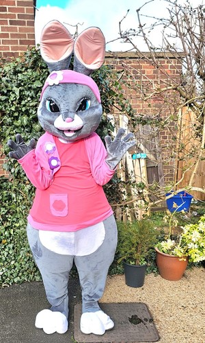 Adult bunny rabbit mascot - adult,