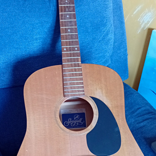 Seagull deluxe - s(6),