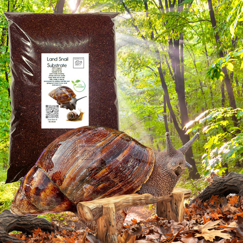Bugznbits land snail - snail, substrate