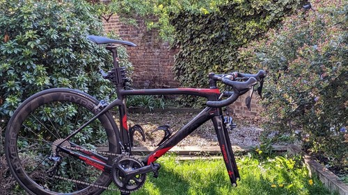 Wilier gtr carbon - carbon, road