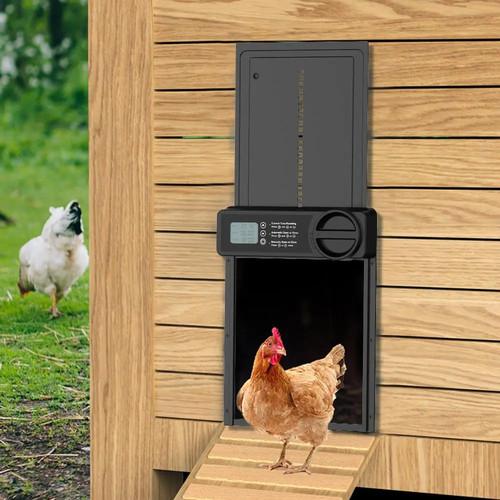 Automatic chicken coop door - chicken,