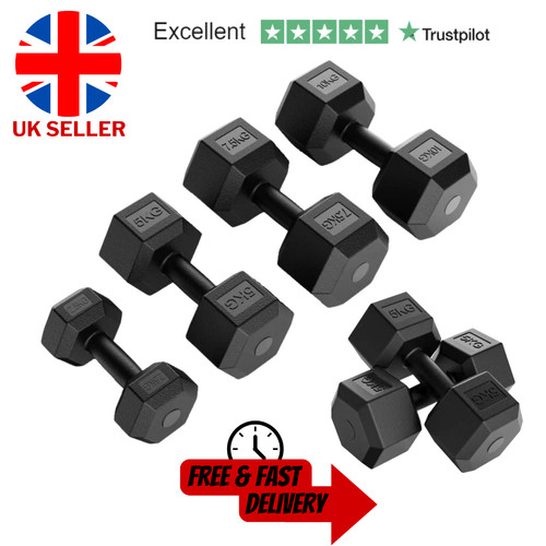 Exersci hex dumbbells - dumbbells, 2.5kg