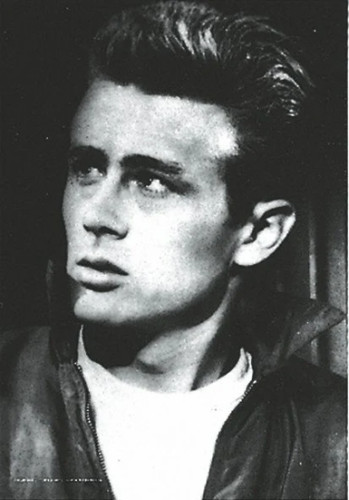 James dean fabric - james,