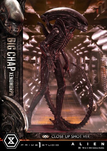 Prime studio alien - alien, big