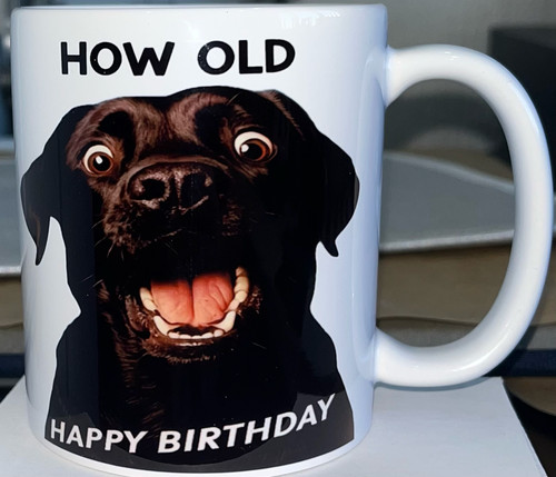 Novelty labrador birthday - novelty, mug