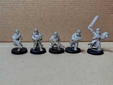 Warhammer 40k Valhallan Ice