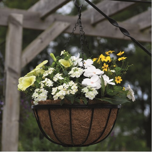 30cm garden hanging baskets - garden,