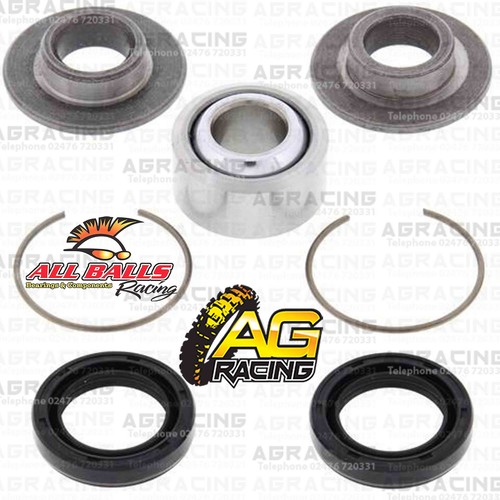 All balls rear lower - rear, shock
