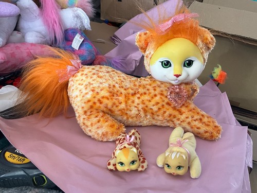 Kitty surprise orange - , ginger