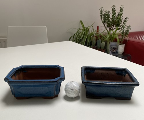 Bonsai pots 15x11cm - bonsai,