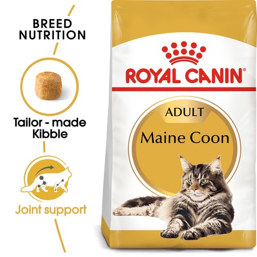 Royal canin maine - royal, adult