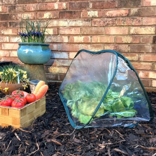 25x0 poly tunnel - h,