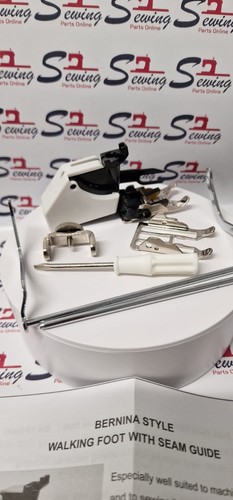 Bernina artista aurora activa - bernina,
