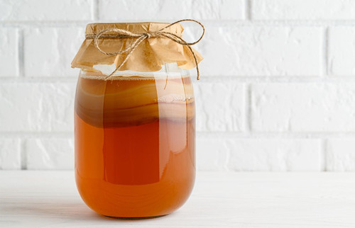 Organic kombucha scoby - scoby, to