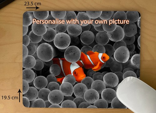 Clown fish design - fish, design-pc
