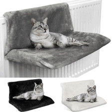 Cat Kitten Hanging Radiator