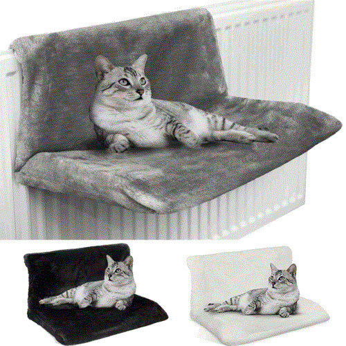 Cat kitten hanging radiator - kitten,