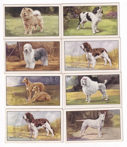 Eight 1936 dog - dog, painting