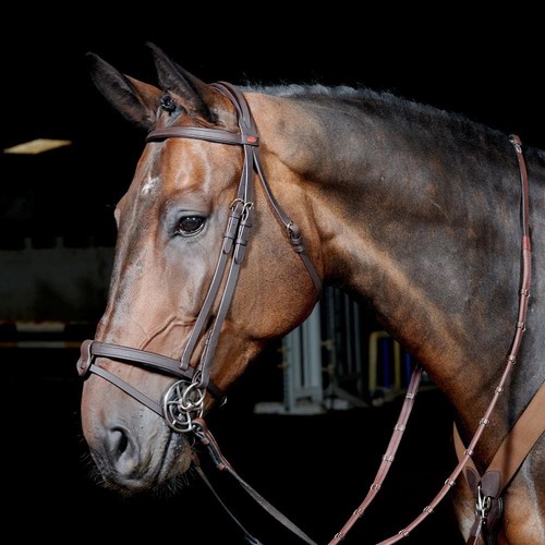 John whitaker ready ride - john,