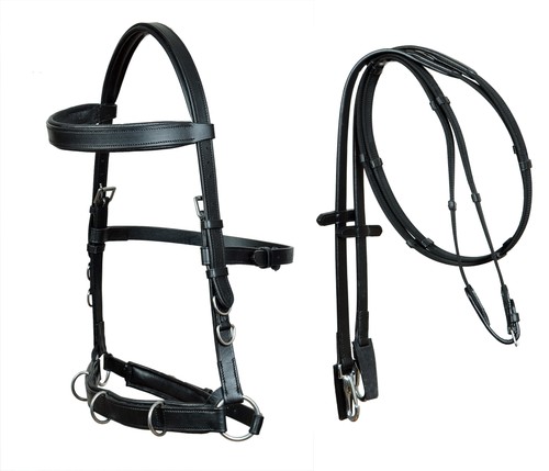 Horse english training black - horse,