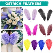 Large Ostrich Feathers Plume for Craft Hat Arts Wedding Party Costume Decoration