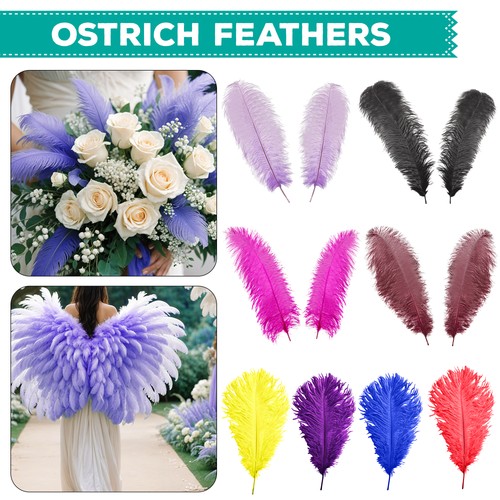 Large ostrich feathers - large, plume