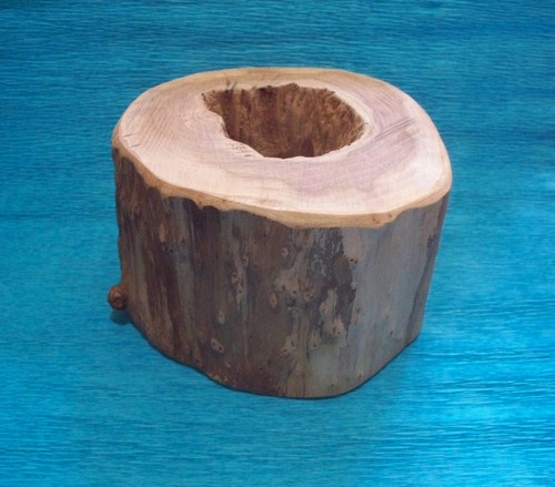 Rustic hollow oak log wood - log,