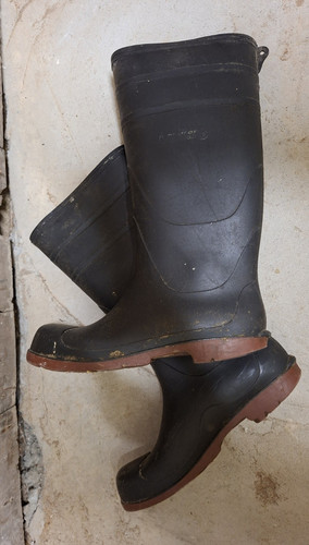 Dunlop stable wellies - , 43