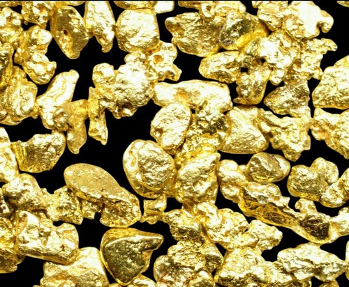 000 grams alaskan yukon bc - alaskan,