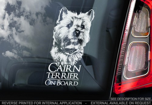 Cairn terrier car window - car,