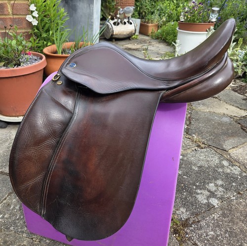 Inch dever saddle pony - 15,