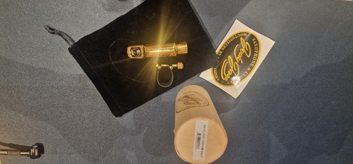 Jody jazz alto - dv, 7