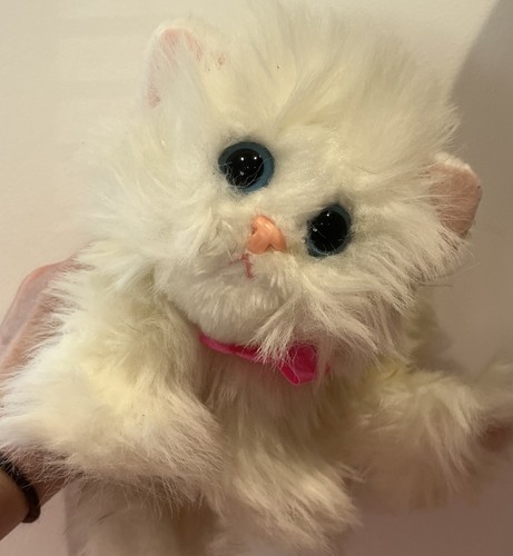 Rare dsi kitty - dsi,