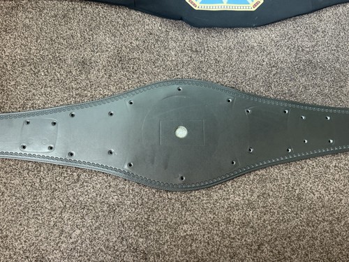 Wwe spinner belt - wwe, new