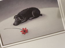 Paul Horton "Looking After