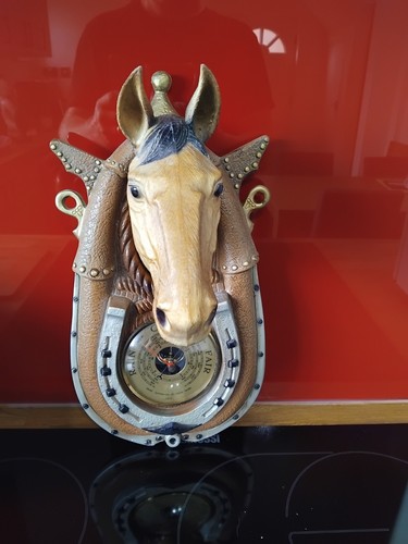 Horse head horseshoe wall - head,
