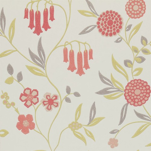 Harlequin delphine ophelia - harlequin,