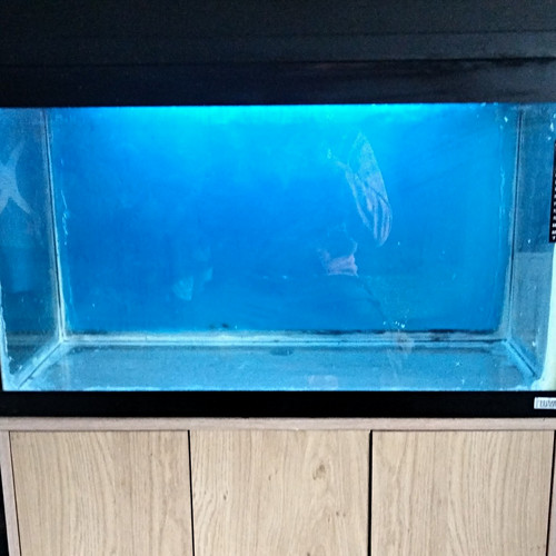Fluval 125 litre fish - fluval, and