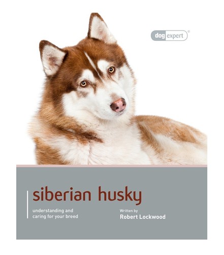 Siberian husky dog expert - siberian,