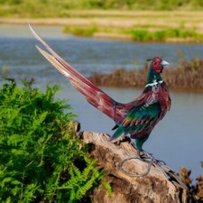 Pheasant Metal Garden Animal Feeding Garden Ornament - Green Neck