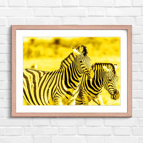 Bold zebra artistry portrait - zebra,