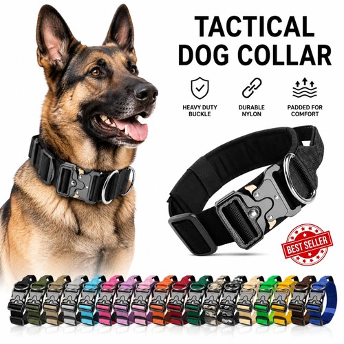 Tactical dog collar heavy duty - tactical,