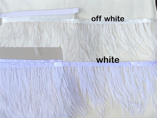 High quality ostrich - quality, feather