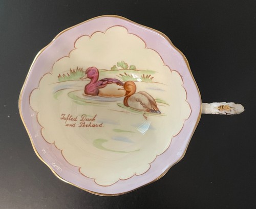 Paragon england tea cup bone - england,