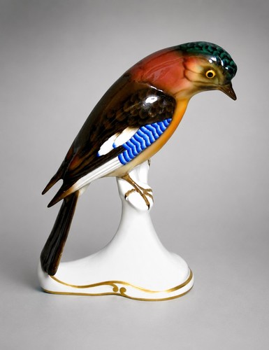 Zeh scherzer bird - zeh, jay