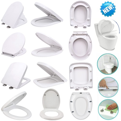 Luxury toilet seat - toilet, duty
