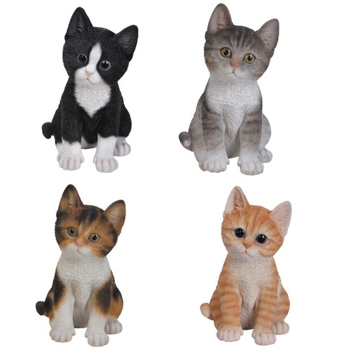 Kitten cat colours lifelike - cat, 4